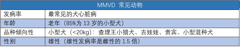 你真的了解犬心脏病？-实验室文章基地