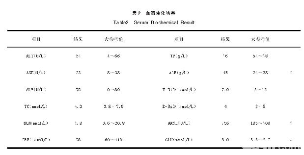 萨摩耶胃内异物的诊断与治疗