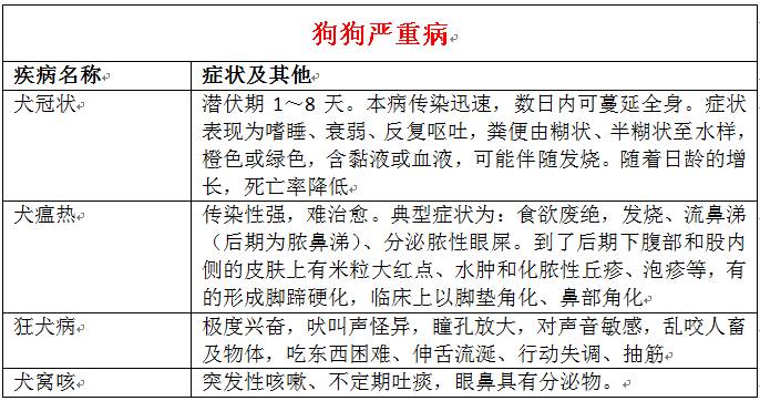 辟谣!狗狗得细小就没得救了吗?找准治愈时机没那么可怕