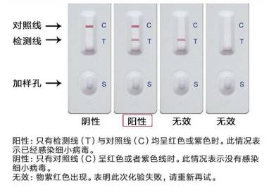 什么是细小?狗狗得细小就没救了?只要及时发现在家也能治好